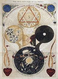 Image result for Behniaceae