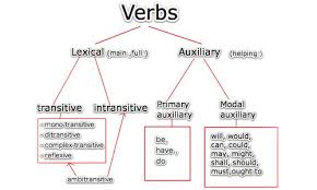 The main library and its auxiliary branches. Difference Between Lexical Verb Auxiliary Verb Difference Between