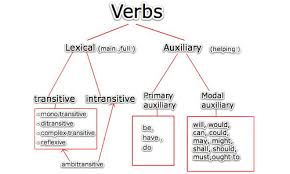 Get it as soon as mon, apr 12. Difference Between Lexical Verb Auxiliary Verb Difference Between