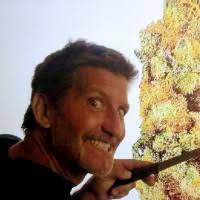 20+ "Stephen Roberge" profiles