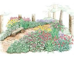 A Woodland Path Garden Plan Garden Planning Woodland Garden Garden Layout