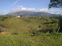 Profile for WaiOli Properties, Inc.