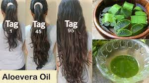 Nach dem shampoonieren gründlich abwaschen. Hausgemachtes Aloevera Haarol Fur Doppeltes Haarwachstum Lange Haare Und Kein Haarausfall Youtube