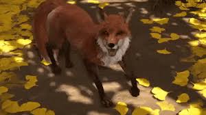 Here is one of my very first. Happy Fox Gifs Get The Best Gif On Giphy