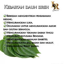 Check spelling or type a new query. Jamu Perapat Asli Herbs 5 Khasiat Daun Sirih Yang Perlu Anda Tahu Khasiat Dan Manfaat Daun Sirih Sememangnya Tidak Perlu Dinafikan Bahkan Ramuan Ini Sudah Diresepikan Secara Turun Temurun Dari
