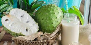 Khasiat dari buah durian belanda ini memberikan kesan anti tumor / kanser yang sangat kuat, dan terbukti secara perubatan menyembuhkan segala jenis kanser. Banyak Manfaat Bila Anda Suka Makan Durian Belanda Ia Bagus Untuk Penjagaan Buah Pinggang Hello Doktor