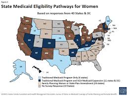 We did not find results for: Medicaid Coverage Of Family Planning Benefits Results From A State Survey Sterilization Procedures 8918 Kff