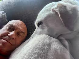 Evening walk after dinner