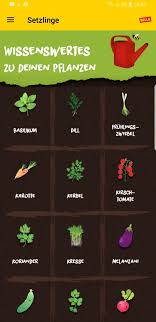 Mein kleiner garten jun 27, 2019| 1 komentare hallo leute, meine ersten gehversuche auf meiner blogseite, leidenschaftliche gartengeschichten und handfestes wissen mit tollen bildern und jede menge tipps und tricks mit kräutern und deren anwendung für die küche, im gartenblog. Bald Haben Wir Den Salat Mit Mein Kleiner Billa Garten Mamablog Einer Schreit Immer