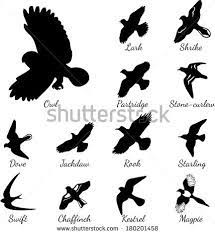 Set Of Black Isolated Vector Silhouettes Of Birds Vector Illustration Lark Shrike Owl Partridge Bird Tattoo Back Bird Tattoo Meaning Black Bird Tattoo