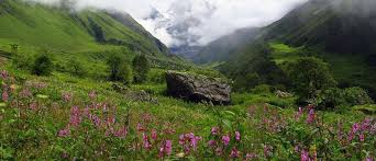 Return to ghangaria by evening. Valley Of Flowers About Valley Of Flowers Valley Of Flowers Tourism