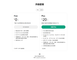 2024 年ChatGPT Plus：升级是否值得以及GPT Plus国内如何支付-号 ...