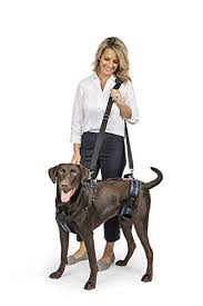 This is how i lift up my big dog. 5 Best Dog Lift Harnesses And Slings For Mobility Impaired Canines