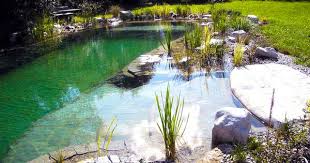 Schwimmteich Oder Naturpool Schwimmteich Natur Pool Naturschwimmteich