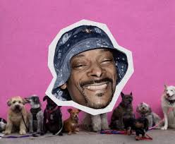 Little Earth Productions: Snoop Doggie Doggs • Ads of the World™