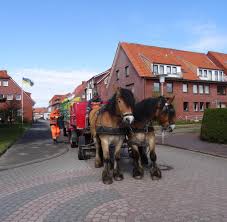 Learn german online for beginners at our channel learn german. Die Grossen Plane Einer Kleinen Nordseeinsel Juist Welt