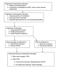 Image result for Perinephric Abscess