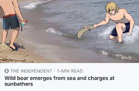 Ryoma S Wife Golden Deer On Twitter Fire Emblem Fire Emblem Characters Fire Emblem Games