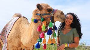 This action packed adventure takes you to an ocean side ranch that includes activities such as tortilla making carnival miracle cruise review. Outback Camel Safari My Experience Tours
