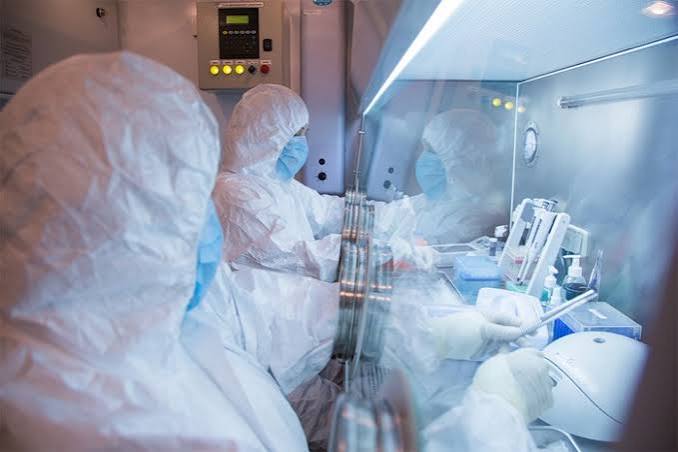 Russia's Plague Scare: What Experts Say About the Risk