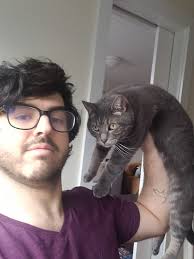 Cat with short hair developed a dreadlock