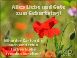 Coolphotos De Grusskarten Geburtstagskarten Fur Blumenliebhaber Seite 7