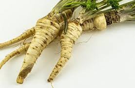The bracing, tingly bite of horseradish is a classic — in bloody marys, on top of roast beef and as a horseradish is a perennial plant, native to eastern and central europe and possibly western asia. Horseradish The Epicentre
