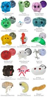 Pin On School Microbiology