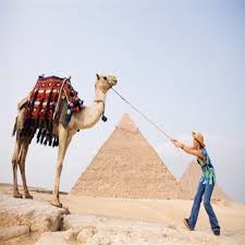 Pickup from your hotel by our expert tour guide and transfer to giza area where the horses and camel stables are located. Best Tour To Giza Pyramids By Camel Fay Tours