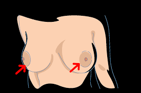 Nipple Sucking: The Ultimate Guide to Doing It Right - School Of Squirt