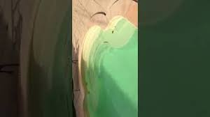 Piscine Verte Brome Probleme Ph Trop Bas Video 2