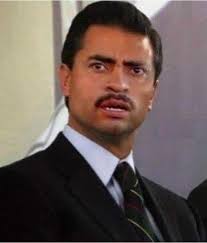 El Enrique Ferras Nieto no existe -El Enrique Ferras Nieto: