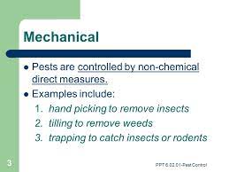 The primary action may have a direct impact, for example, when insects are killed immediately by mechanical shock. Ppt Methods Of Pest Control Ppt Video Online Download