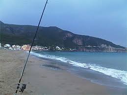 Encontre lugares únicos para se hospedar com anfitriões locais em 191. Partie De Peche Sur La Plage De Chenoua Tipaza Plages Mer Plage De Chenoua Tipaza Cote Algerienne Algerie Routard Com