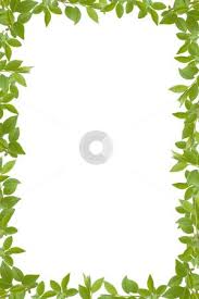 See more ideas about flower frame, leaf border, wallpaper backgrounds. Borders With Leaves Fresh Green Leaves Wallpaper Border 1 145 Leaves Border Products Are Offered For Roda Dunia