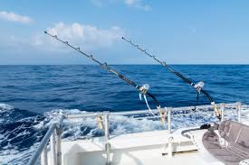 This worldly team has strong relationships with the area's premier midcoast maine ocean fishing guides. Here Are The Best Maine Fishing Charters Topside Inn