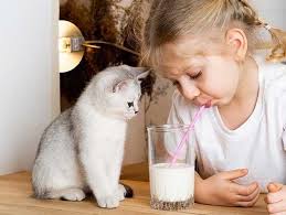 Lactose intolerance when do kittens stop buy drinking milk
