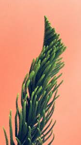 Check spelling or type a new query. 16 Best Minimalist Iphone Wallpapers Joy Of Apple
