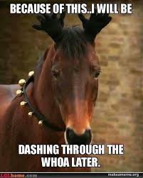 Pin By Kabree Bates On Equine Luvr Funny Horses Horse Jokes Horse Riding Quotes