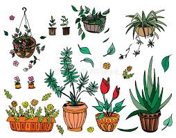 The photos you provided may be used to improve bing image processing services. Six Non Flowering Plants Stock Illustration Illustration Of Elongated 29373628