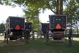 The Essential Amish Cookbook: Everyday Recipes from Farm and Pantry.