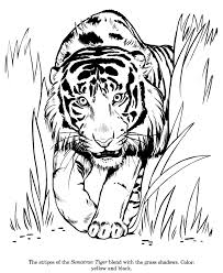 We did not find results for: Drawings To Color For Kids Coloring Home