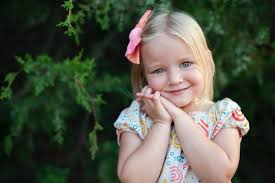 Still Life Collective