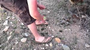 Maybe you would like to learn more about one of these? Cholla Cactus Attacks Youtube