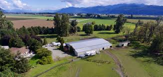 Maybe you would like to learn more about one of these? 13 9 Acre Equestrian Estate Minutes From Canada In The Northwest Sumas Whatcom County Washington Horseproperties Net