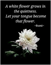 A Polite Way To Say Shut Up Rumi Quotes Rumi Bloom Quotes