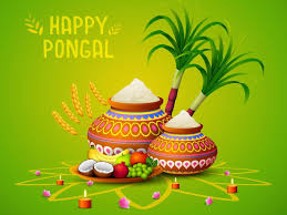 May you be blessed this pongal with good health happy pongal! Happy Pongal 2021 Wallpapers Wallpaper Cave