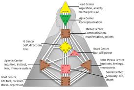 Basic Human Design Custom Chart Reading Pdf Ebay