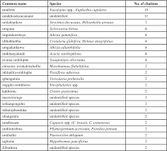 Image result for Synaptolepis oliveriana