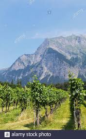 maienfeld high resolution stock photography and images alamy